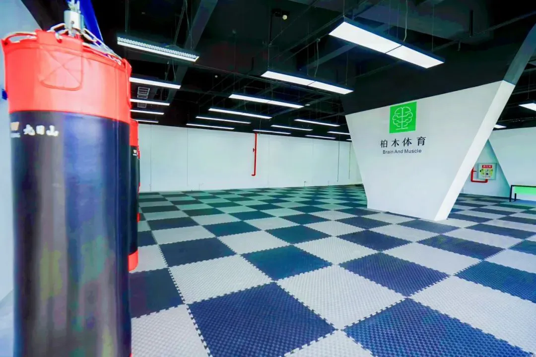 如何制定智能篮球训练计划_1